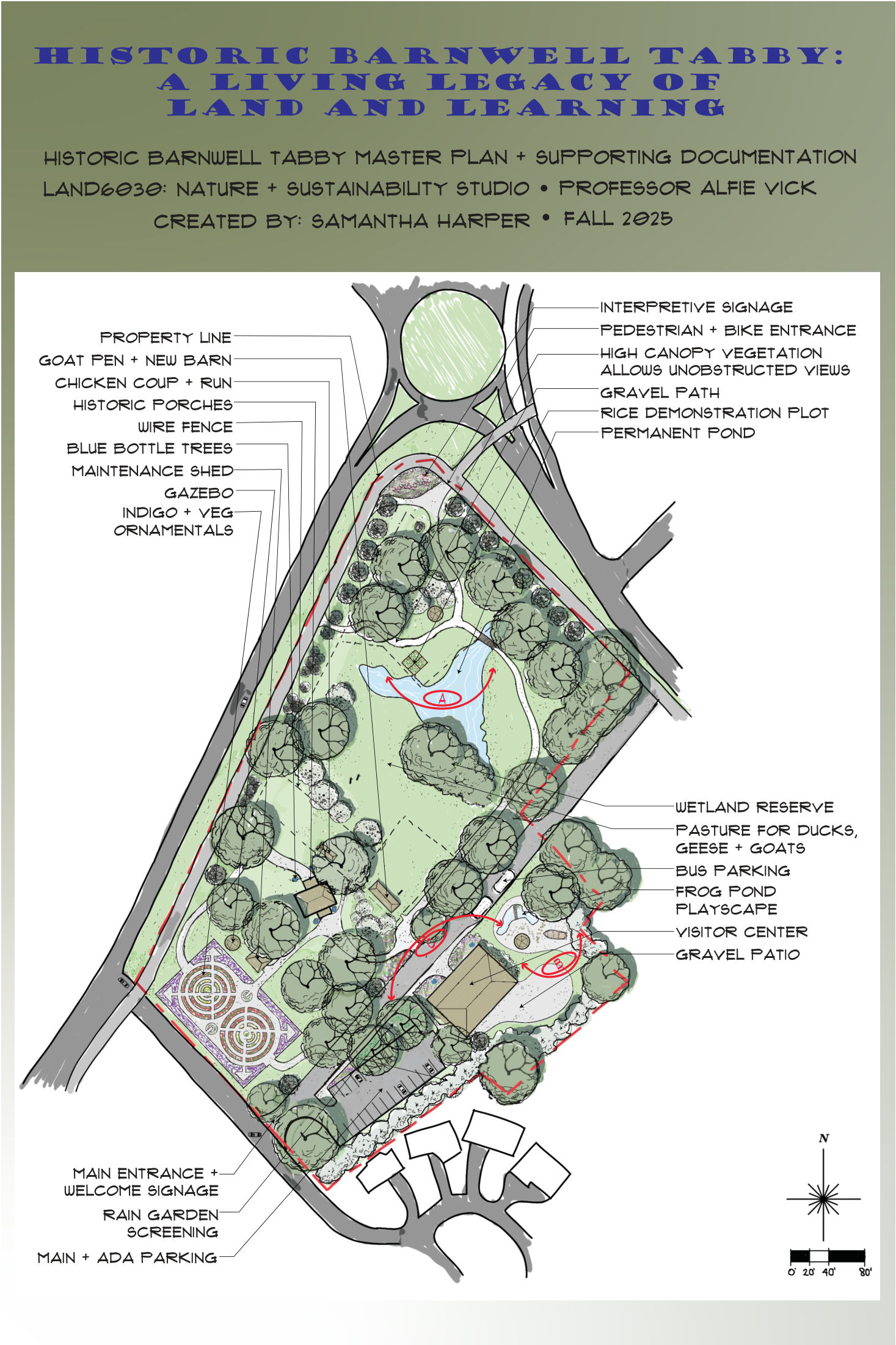 Historic Barnwell Tabby &mdash; master plan (Groundwork & Guidance)